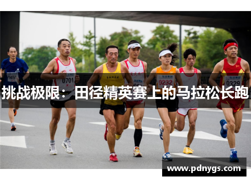 挑战极限：田径精英赛上的马拉松长跑