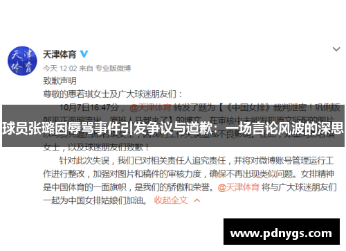 球员张璐因辱骂事件引发争议与道歉：一场言论风波的深思